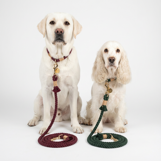 Laisse Tissée- Bordeaux