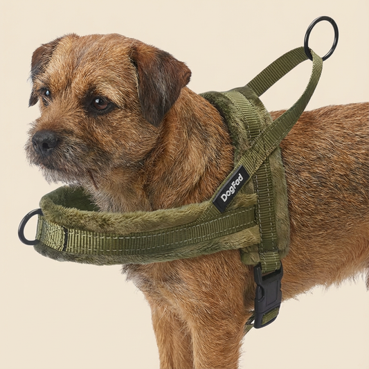 Harnais DogFad ajustable & réfléchissant- Kaki