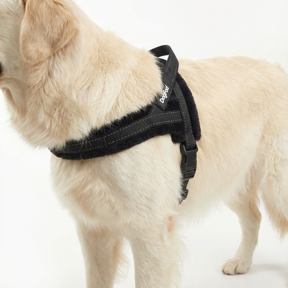 Harnais DogFad ajustable & réfléchissant- Noir
