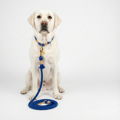 Laisse Tissée- Bleue Roi