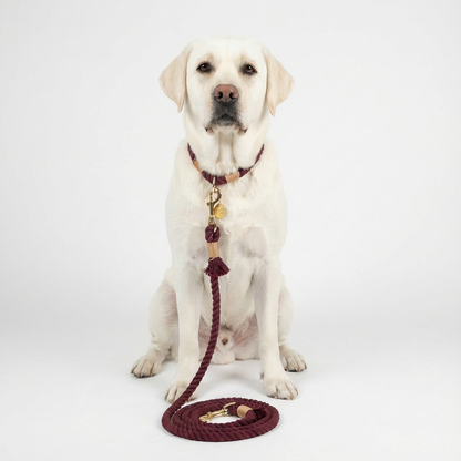 Laisse Tissée- Bordeaux