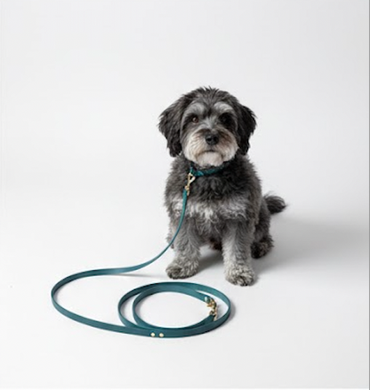 Laisse Biothane (Couleurs et Tailles personnalisables)